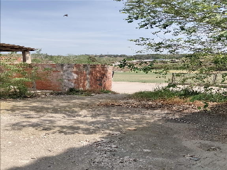 CANARI 9