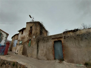 CANARI 5