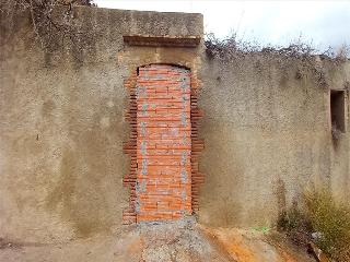 CANARI 6