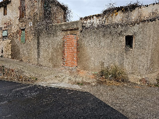 CANARI 7