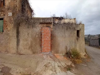CANARI 8
