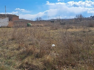 VERA SAN ANTONIO 6