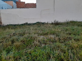 SAN MANUEL 13