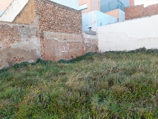 SAN MANUEL 14