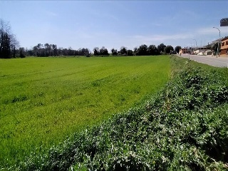 CATALUNYA 5