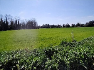CATALUNYA 8