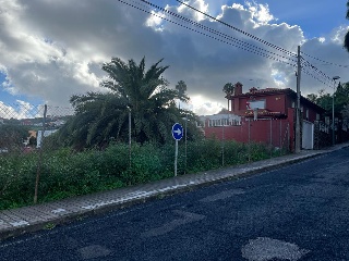 LOMO LOS TOSCANES 2