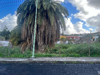 LOMO LOS TOSCANES 4