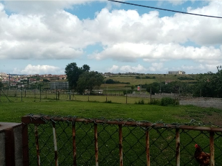 LAVADERO 11