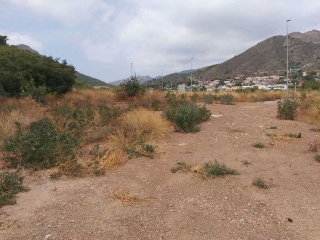 GREGAL 3