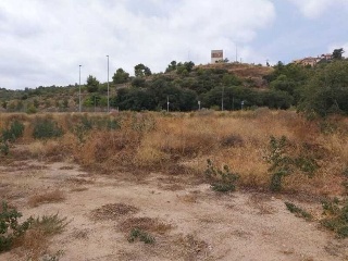 GREGAL 4