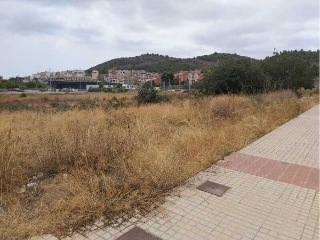 GREGAL 5