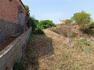 CAÑA PRIMAL I (PL 4) 2