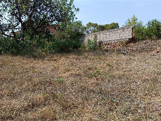 CAÑA PRIMAL I (PL 4) 4