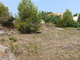 CAÑA PRIMAL I (PL 4) 5