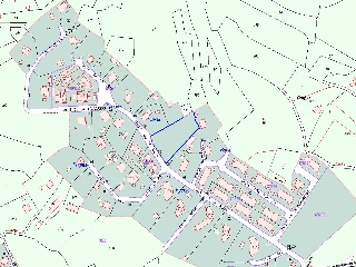 CAÑA PRIMAL I (PL 4) 11
