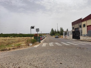 DEHESA DEL REY 2