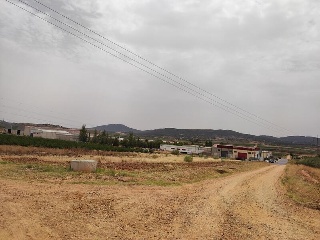 DEHESA DEL REY 3