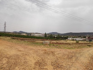 DEHESA DEL REY 4