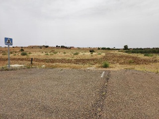 DEHESA DEL REY 6