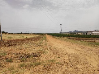 DEHESA DEL REY 7