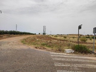 DEHESA DEL REY 8