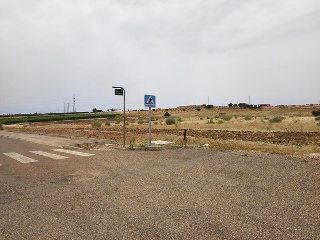 DEHESA DEL REY 9