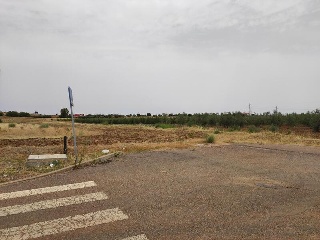 DEHESA DEL REY 10