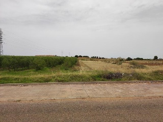 DEHESA DEL REY 11