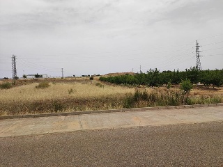 DEHESA DEL REY 12