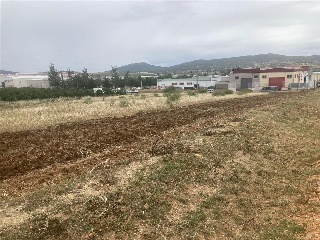 DEHESA DEL REY 2