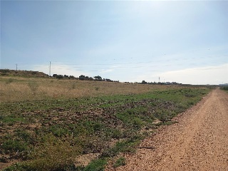 DEHESA DEL REY 4