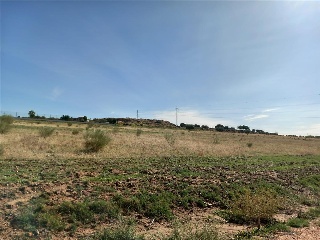 DEHESA DEL REY 5