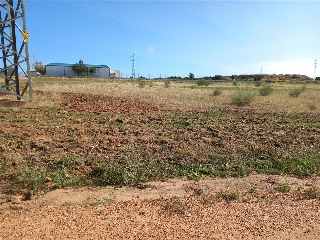 DEHESA DEL REY 6