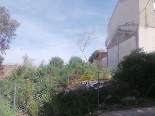 ALMORADI 2