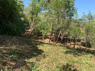 Pisos banco Maçanet de la Selva