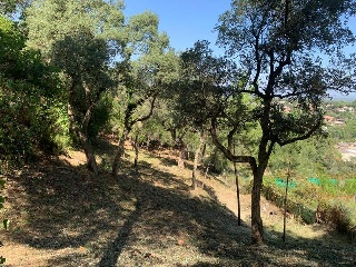 SANT POL 2