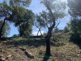 SANT POL 5