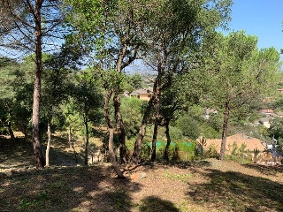 SANT POL 7