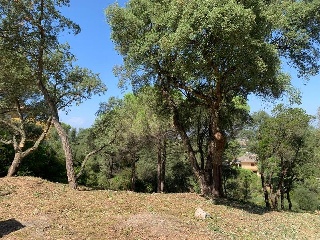 SANT POL 8