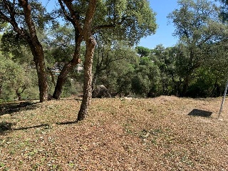 SANT POL 10