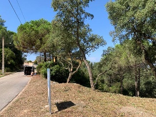 SANT POL 11
