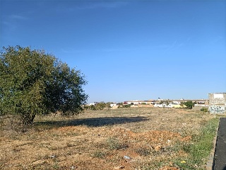 BERNAL DIAZ DEL CASTILLO 11