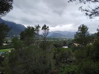 Pisos banco Gandia