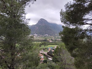 SANTA MARTA 4