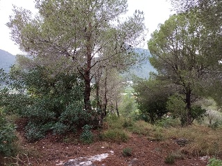 SANTA MARTA 6