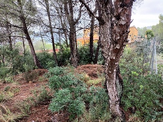 SANTA MARTA 7