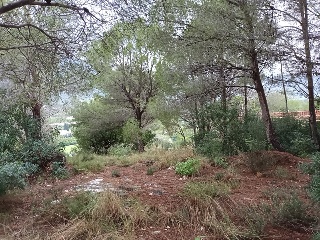 SANTA MARTA 8