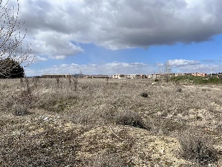 DEL CEREZO 3