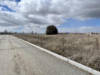 DEL CEREZO 4